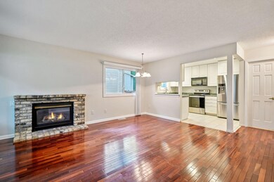 5427 E Brenner Pass, Minneapolis, MN 55432 - photo 2