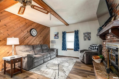 207 W Sylvester Ave, Christopher, IL 62822 - photo 6