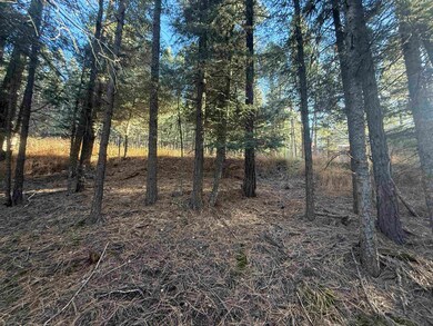Lot 72 Mammoth Mountain Rd, Angel Fire, NM 87710 - photo 5