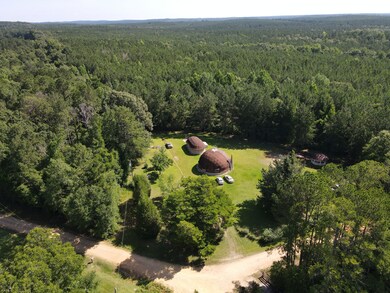 18121 Jordan Grove Road Exd, Dozier, AL 36028 - photo 3