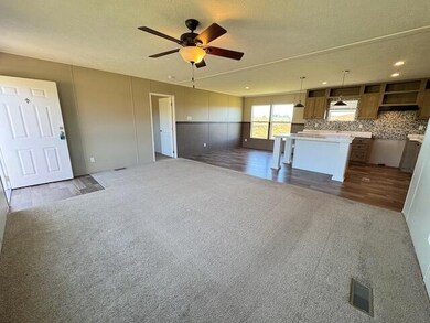 665 Painter Rd, Fall Branch, TN 37656 - photo 4