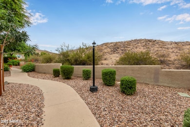 26 - Chandler