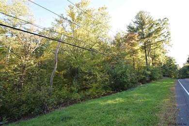 0 Tbd Upper Cady Rd unit 201827580, Chatham, NY - photo 2