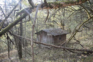 0 Gladdice Hwy unit RTC3042612, Gainesboro, TN 38562 - photo 6