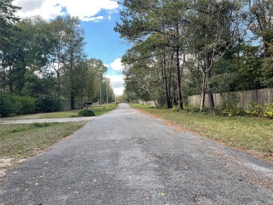 21820 Strickland Ln, Cleveland, TX 77328 - photo 7