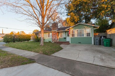 3238Begonia-MLS-2