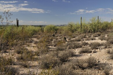Looking South - City of Tucson