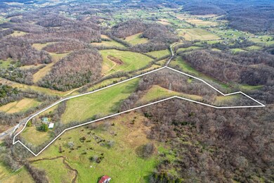 Has been used as a cattle farm.  Spring and access to creek on property.  Lots of well maintained pasture.
