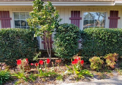 “Springtime Shot”