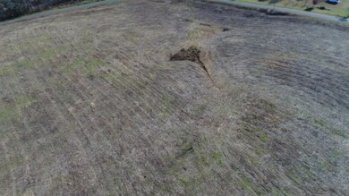 560 Roxy Ln, Eubank, KY 42567 - photo 5