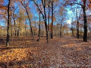 0 Oak Ridge Ln, Spavinaw, OK 74366 - photo 3