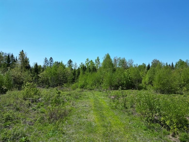 DJI_0968