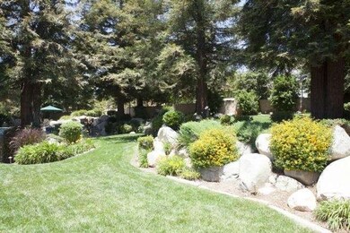 Lush Landscape