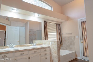 Primary Bathroom 1