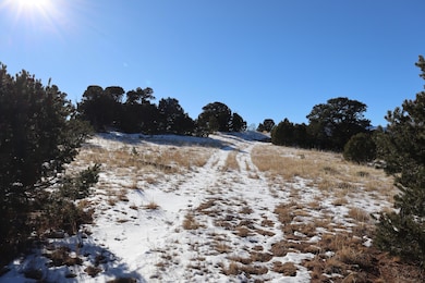 0 Shawnee Cir unit Lot 89, Walsenburg, CO 81089 - photo 7