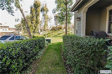 In Front of Patio