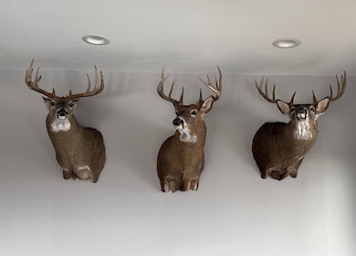 32974 Potter Ln, Muscoda, WI 53573 - photo 2