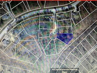 0 Burghley Ln unit 1129653, Bella Vista, AR 72714 - photo 4