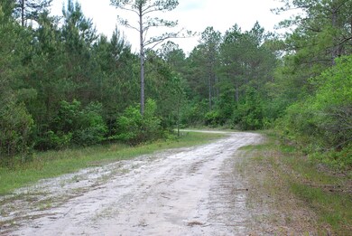 0000000000 Mill Creek SE, Bolivia, NC 28422 - photo 4