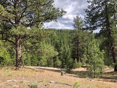 East mountain views