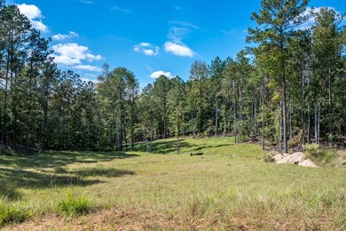 8530 Lake Bright Dr, Columbus, GA 31904 - photo 7