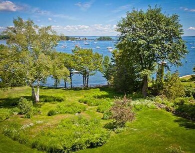 Yard/Garden.