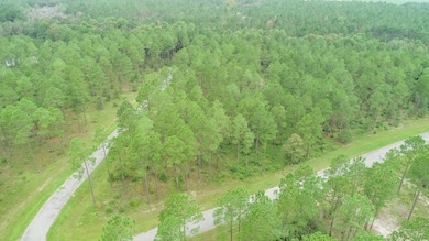 LOT 26 Merganser Ln, Moultrie, GA 31768 - photo 2