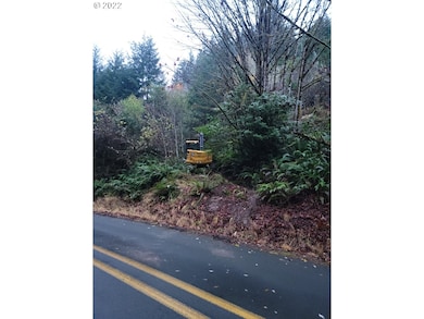 0 Pleasant Valley Rd unit 22531177, Myrtle Point, OR 97458 - photo 3