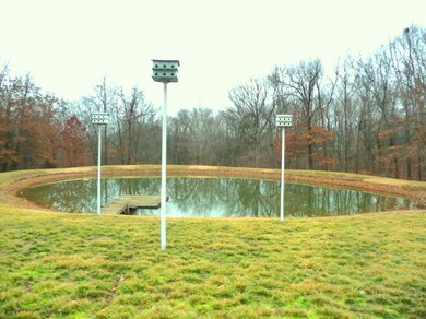 pond 2