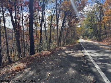 TBD Adolph Road (Rr), Mill Creek, WV 26280 - photo 2