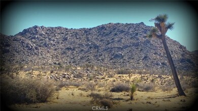 0 La Contenta Dr unit JT17000331, Joshua Tree, CA - photo 6