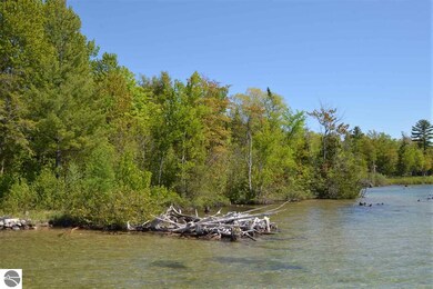 0 Rivershore Dr, Elk Rapids, MI 49629 - photo 7