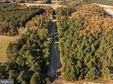 27336 Walnut Tree Rd, Salisbury, MD 21801 - photo 6