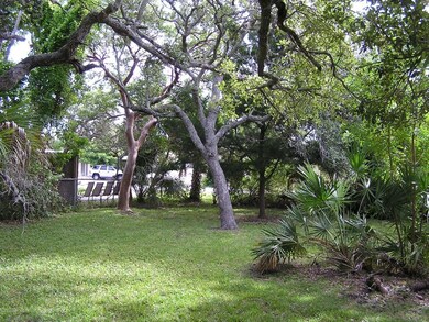 Back Yard 4