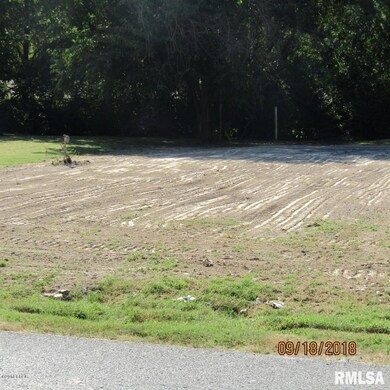 201 S Shaw St, Harrisburg, IL 62946 - photo 7