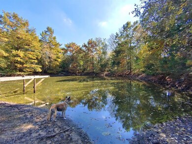 3000 County Road 425, Cleburne, TX 76031 - photo 6