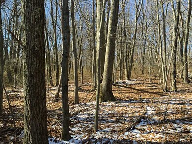 Land/Lot. Wooded Rear back yard