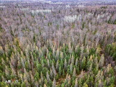 3025 E Paradise Ln, Wasilla, AK 99654 - photo 3