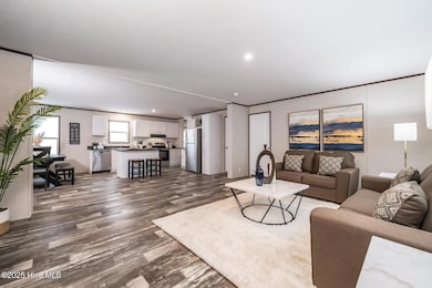 533 Pope Rd, Rose Hill, NC 28458 - photo 3