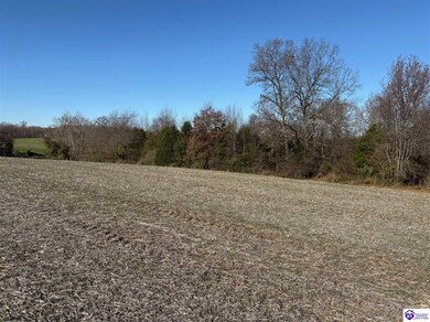 245 Owl Creek Dr, Vine Grove, KY 40175 - photo 7