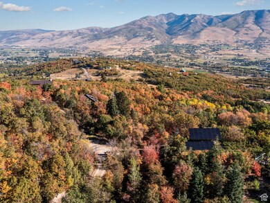 View of mountain background featuring a heavily wooded area
