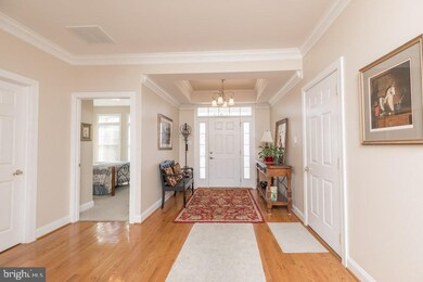 151 Harvest Ridge Dr, Winchester, VA 22601 - photo 4