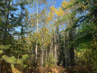 Nhn Whitepine Ln, Trout Creek, MT 59874 - photo 3