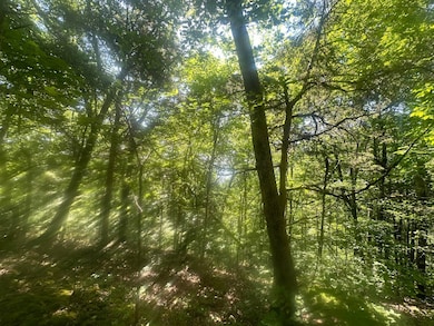 24 Rock Springs Rd, Celina, TN 38551 - photo 3