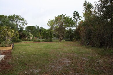 Oversize Lot
