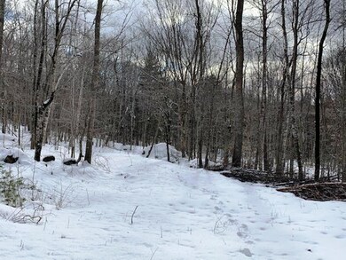 Lot 10 Tamarack Trail, Camden, ME 04843 - photo 7