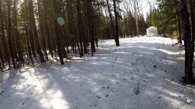 Driveway going back to Clearing