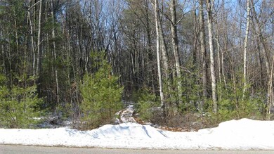 48 Chamberlin Way, New Durham, NH 03855 - photo 2