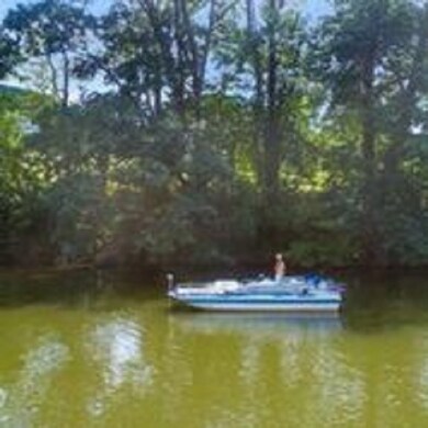 Approx. 200 Feet of Waterfront for Dock & Livestoc