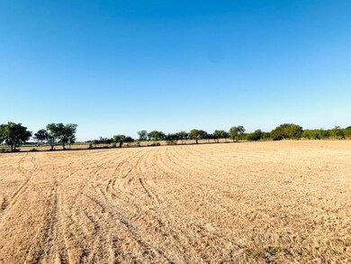 2733 County Road 905, Joshua, TX 76058 - photo 2